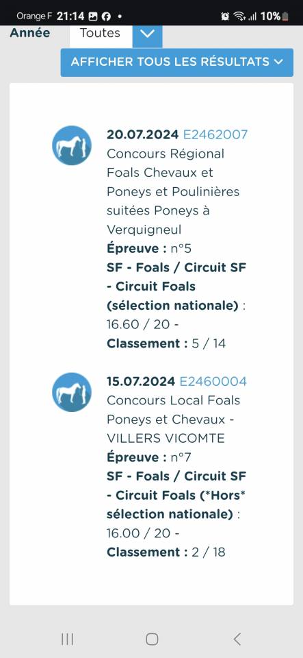 Yegua Silla Francés En venta 2024 Bayo por Cooper van’t Heffinck