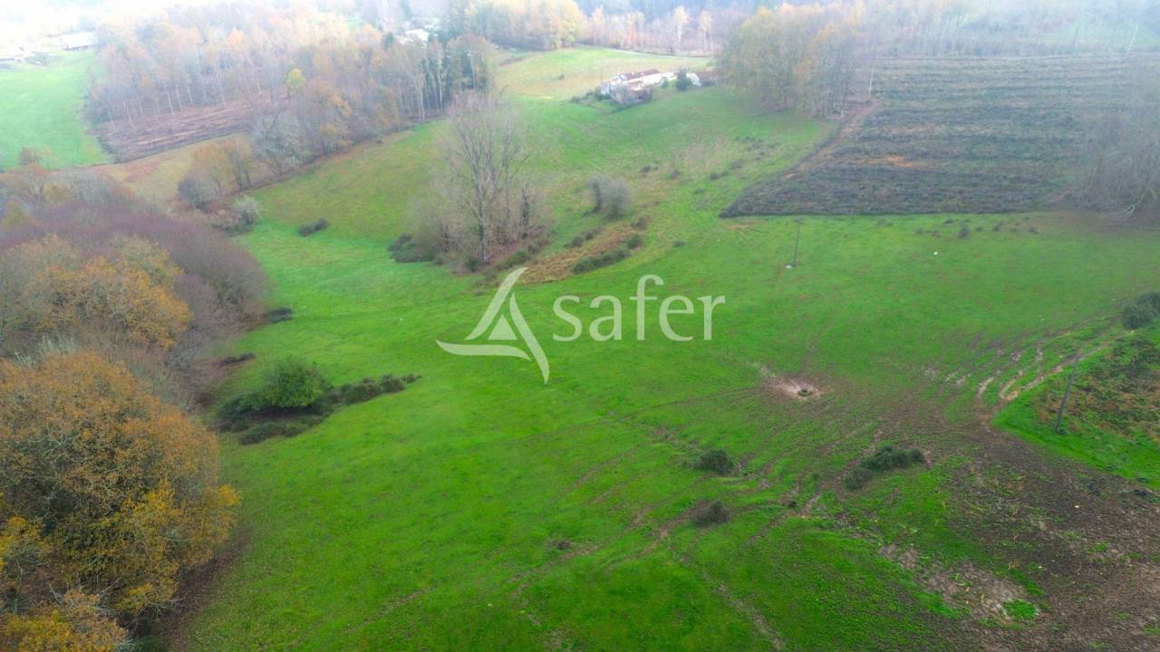 Explotaci&oacute;n ovina En venta Dordo&ntilde;a