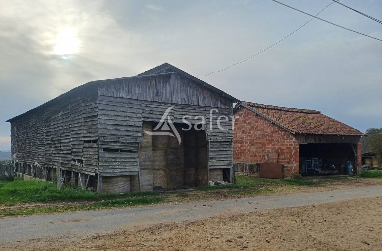 Explotaci&oacute;n ovina En venta Dordo&ntilde;a