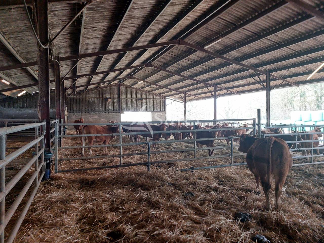 Explotaci&oacute;n ovina En venta Dordo&ntilde;a