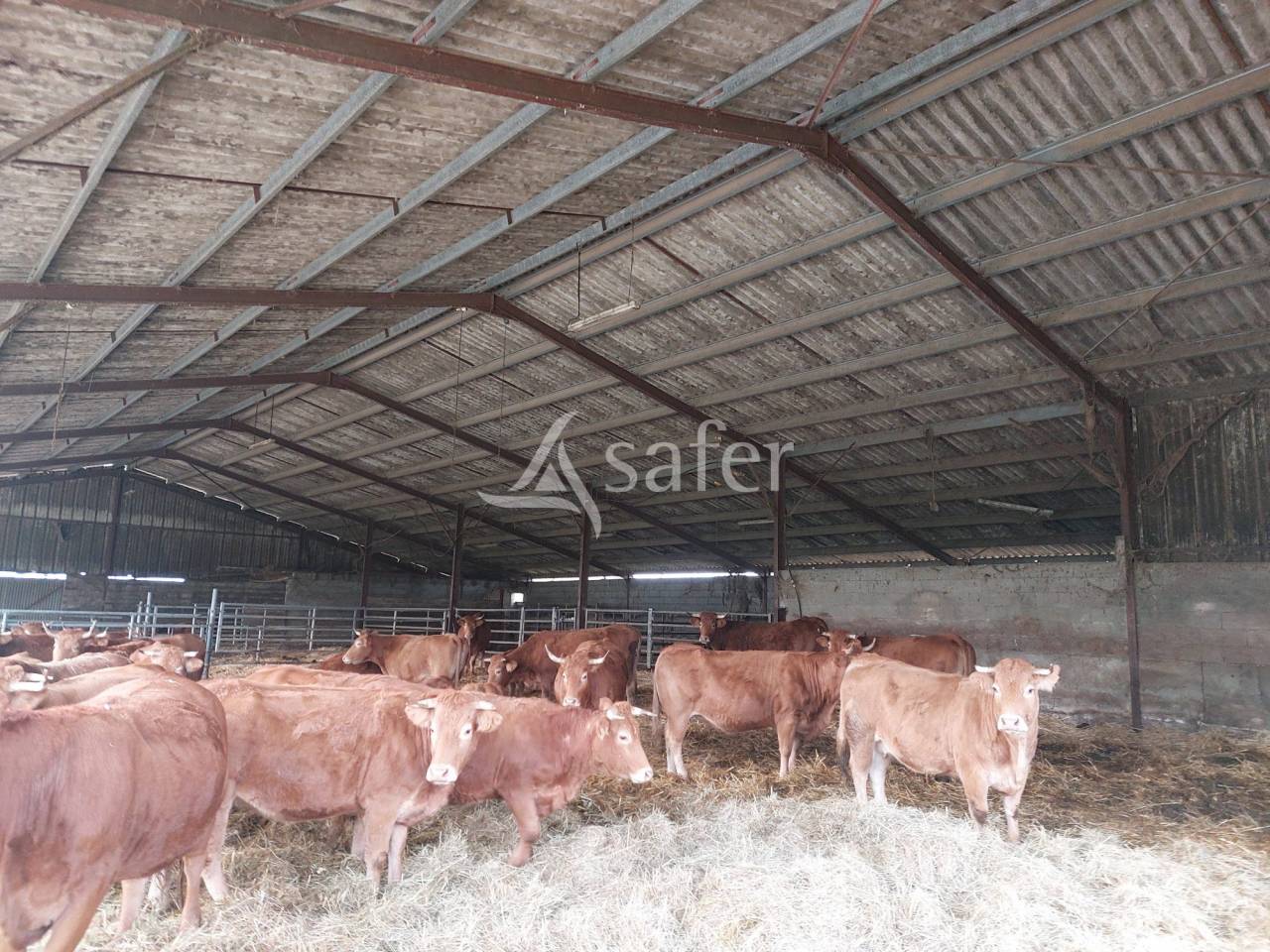 Explotaci&oacute;n ovina En venta Dordo&ntilde;a