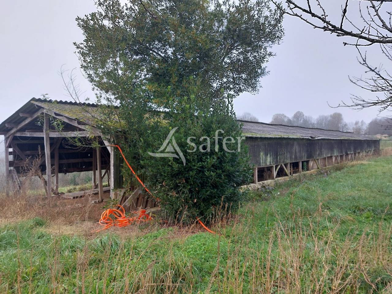 Explotaci&oacute;n ovina En venta Dordo&ntilde;a