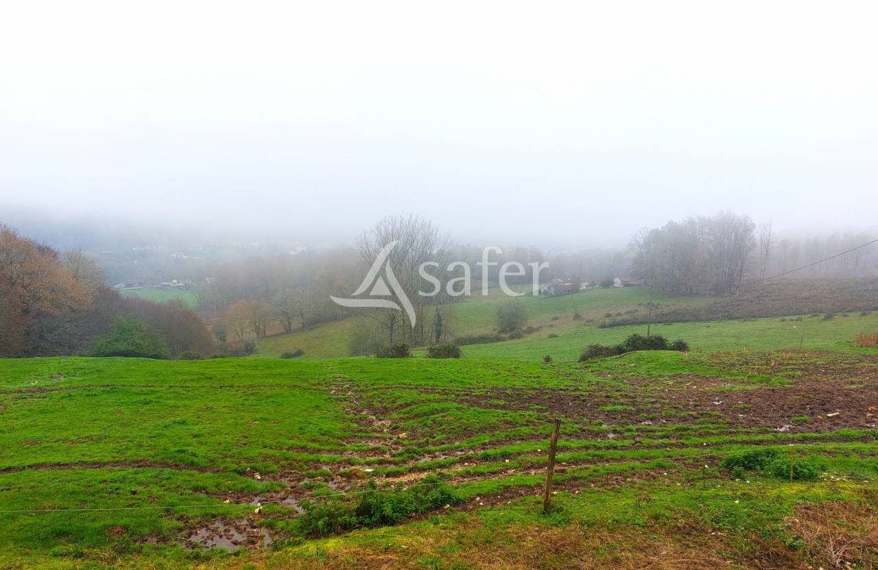 Explotaci&oacute;n ovina En venta Dordo&ntilde;a