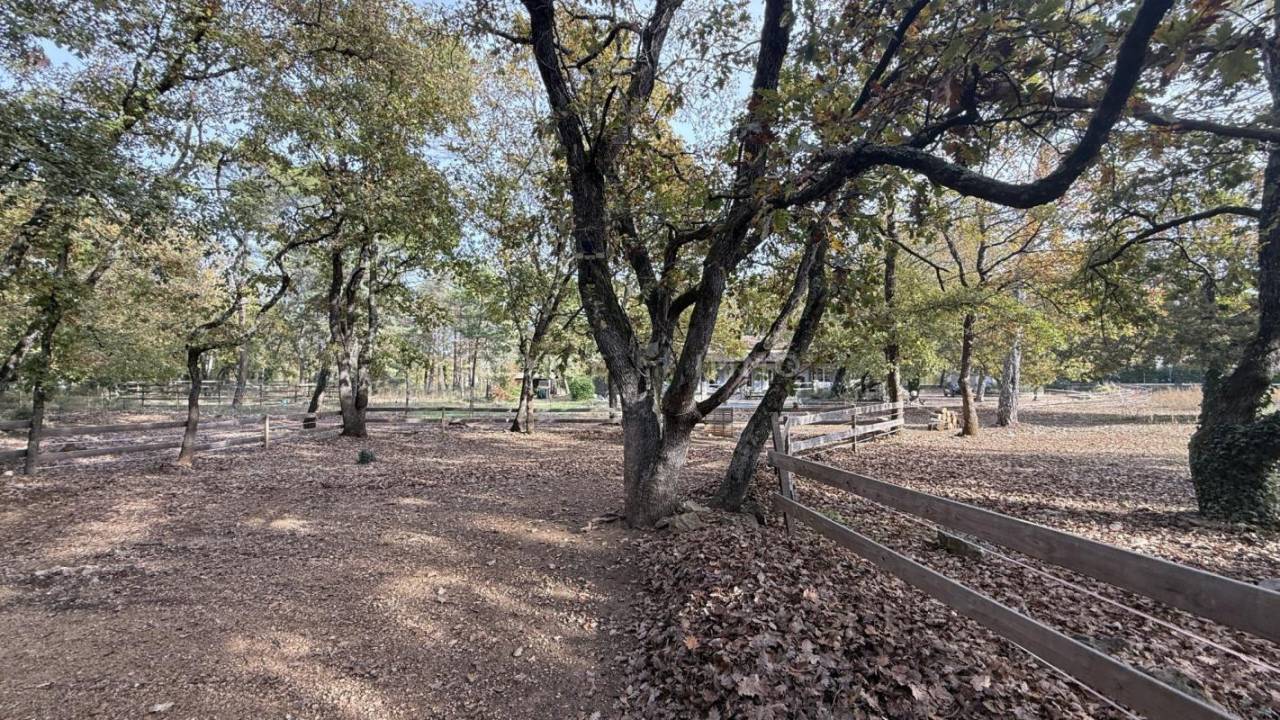 Propiedad ecuestre En venta Var