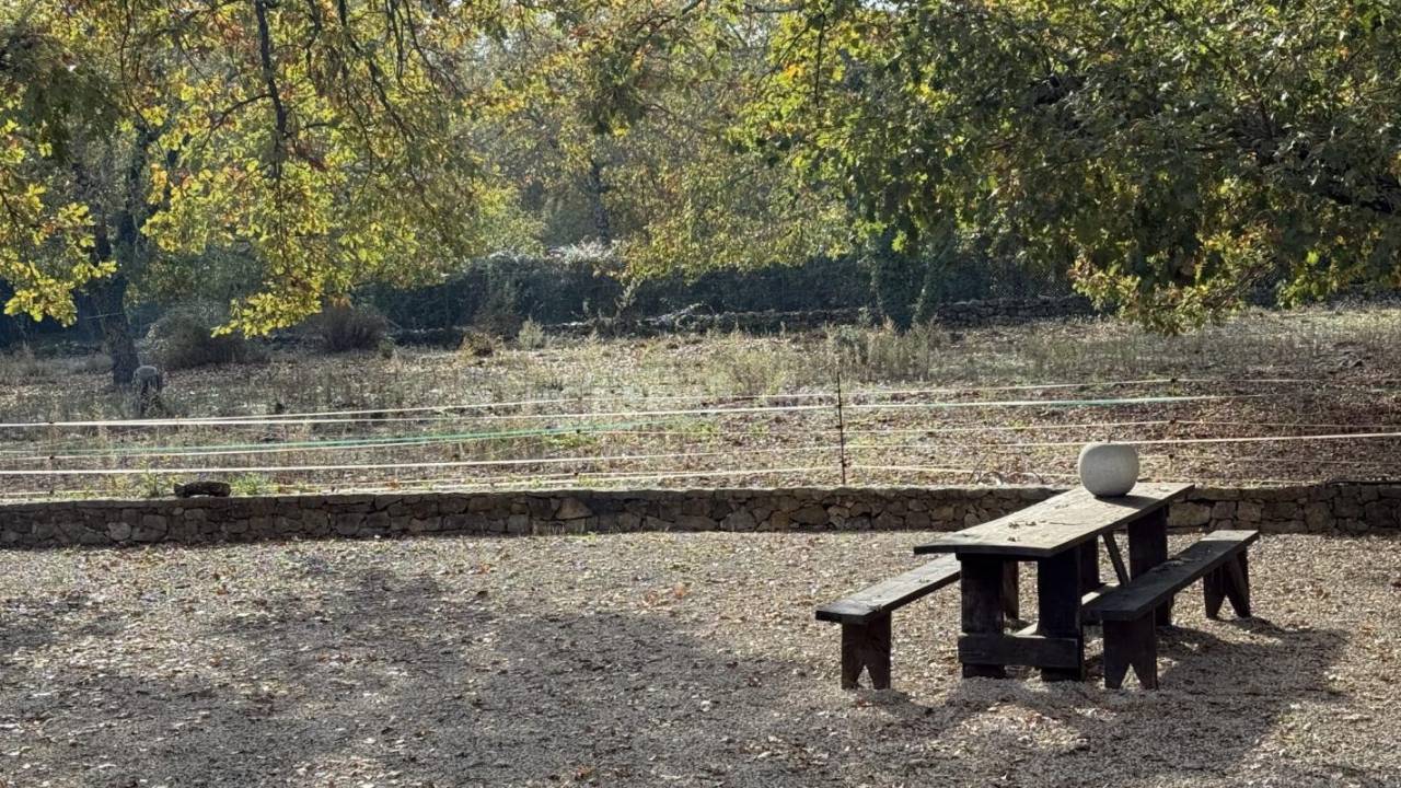 Propiedad ecuestre En venta Var