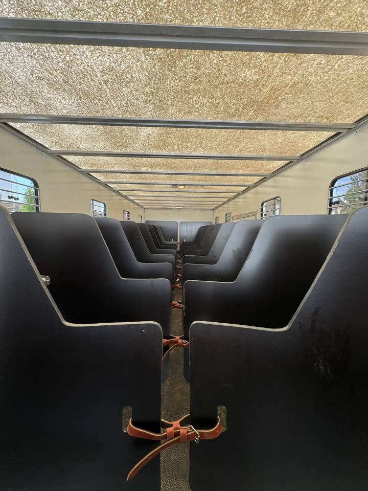 Camión para caballos Daf  2011 De segunda mano