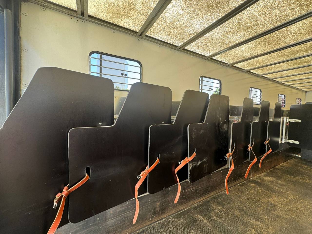 Camión para caballos Daf  2011 De segunda mano