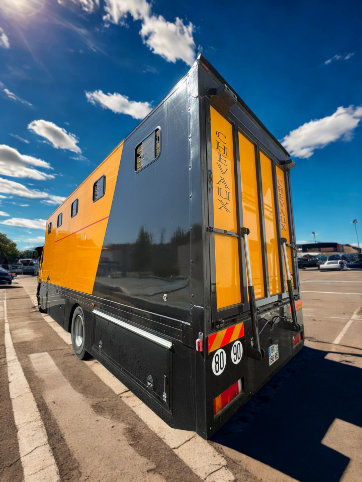 Camión para caballos Daf  2011 De segunda mano