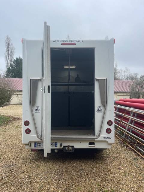 Furgoneta para caballos Theault  2013 De segunda mano