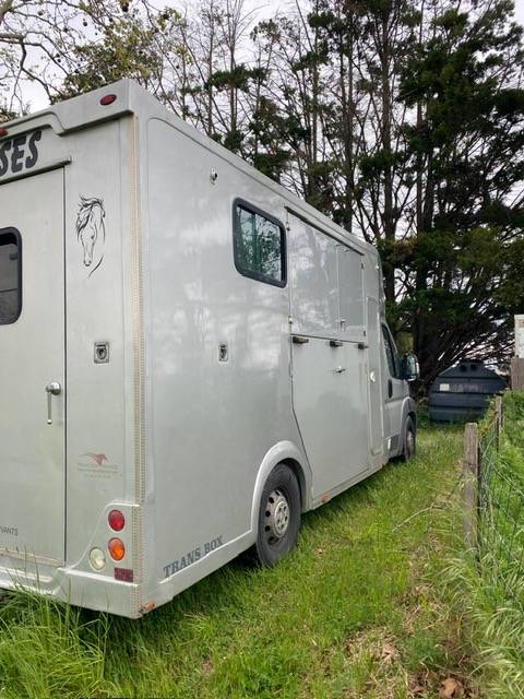 Furgoneta para caballos Trans Box  2014 De segunda mano