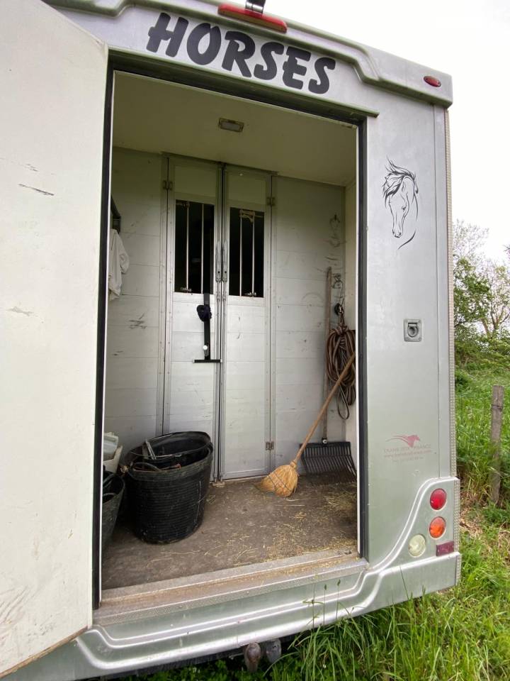 Furgoneta para caballos Trans Box  2014 De segunda mano