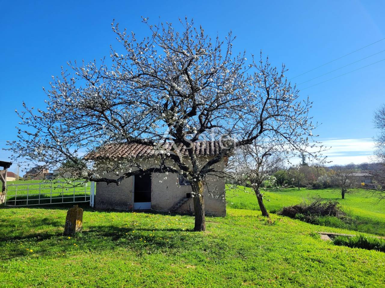 Propiedad rural En venta Tarn