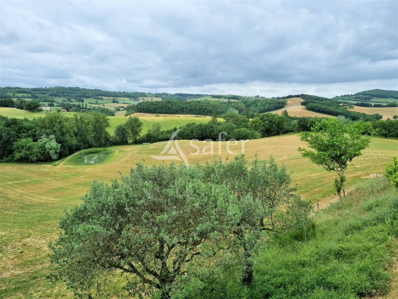 Propiedad rural En venta Tarn