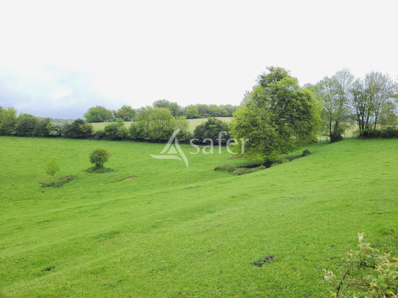 Explotaci&oacute;n cerealista En venta Tarn