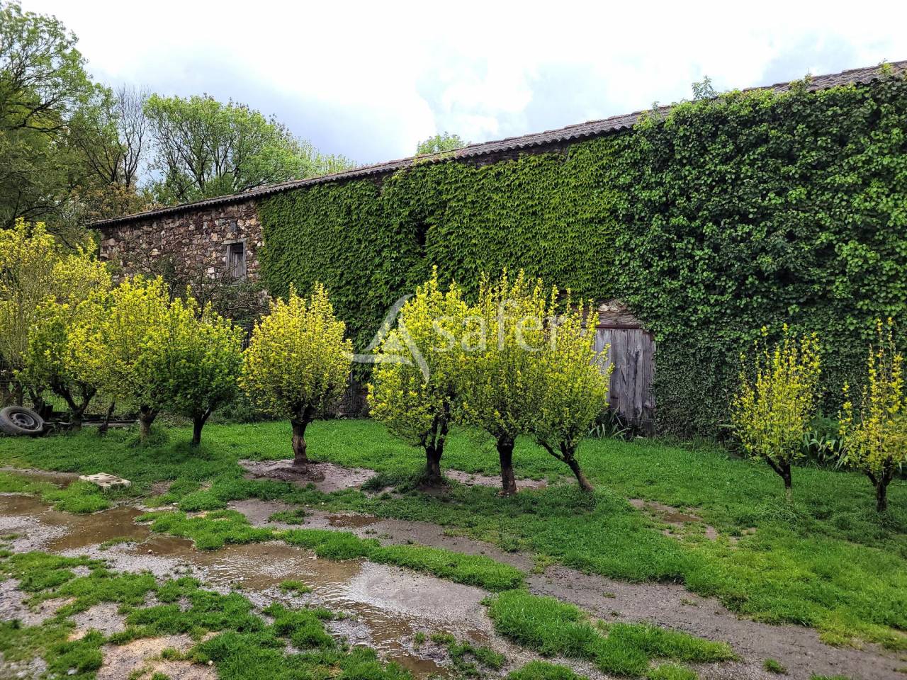 Explotaci&oacute;n cerealista En venta Tarn