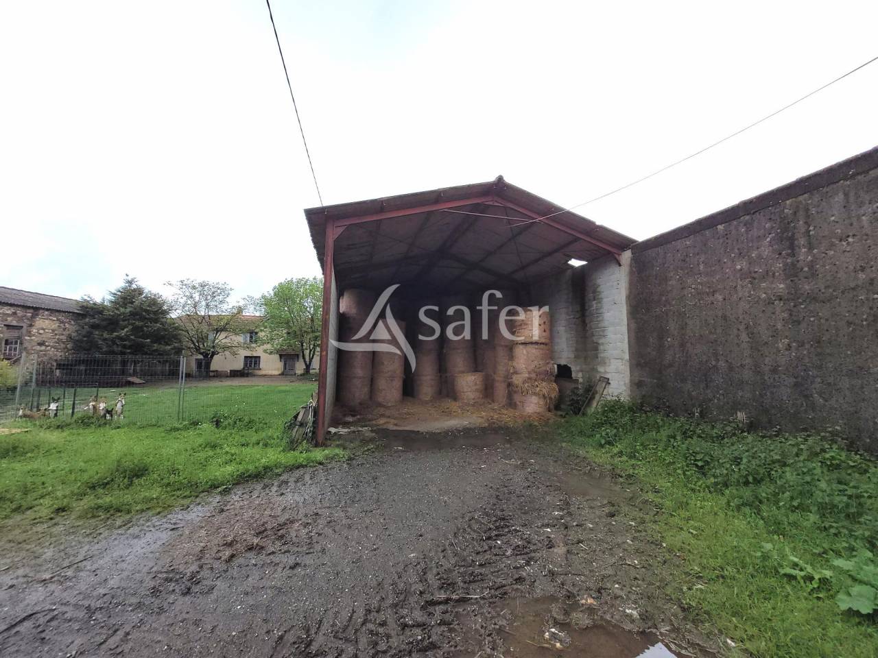 Explotaci&oacute;n cerealista En venta Tarn