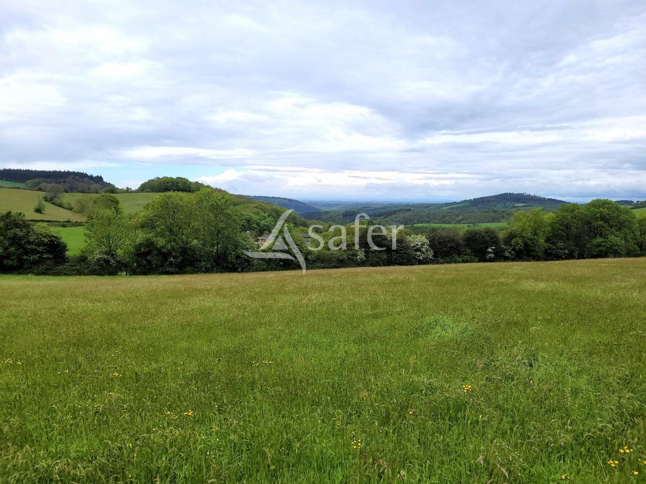 Explotaci&oacute;n cerealista En venta Tarn