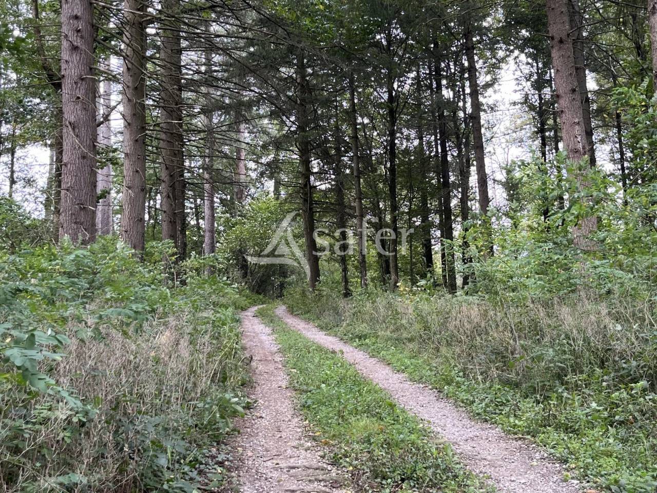 Propiedad rural En venta Tarn