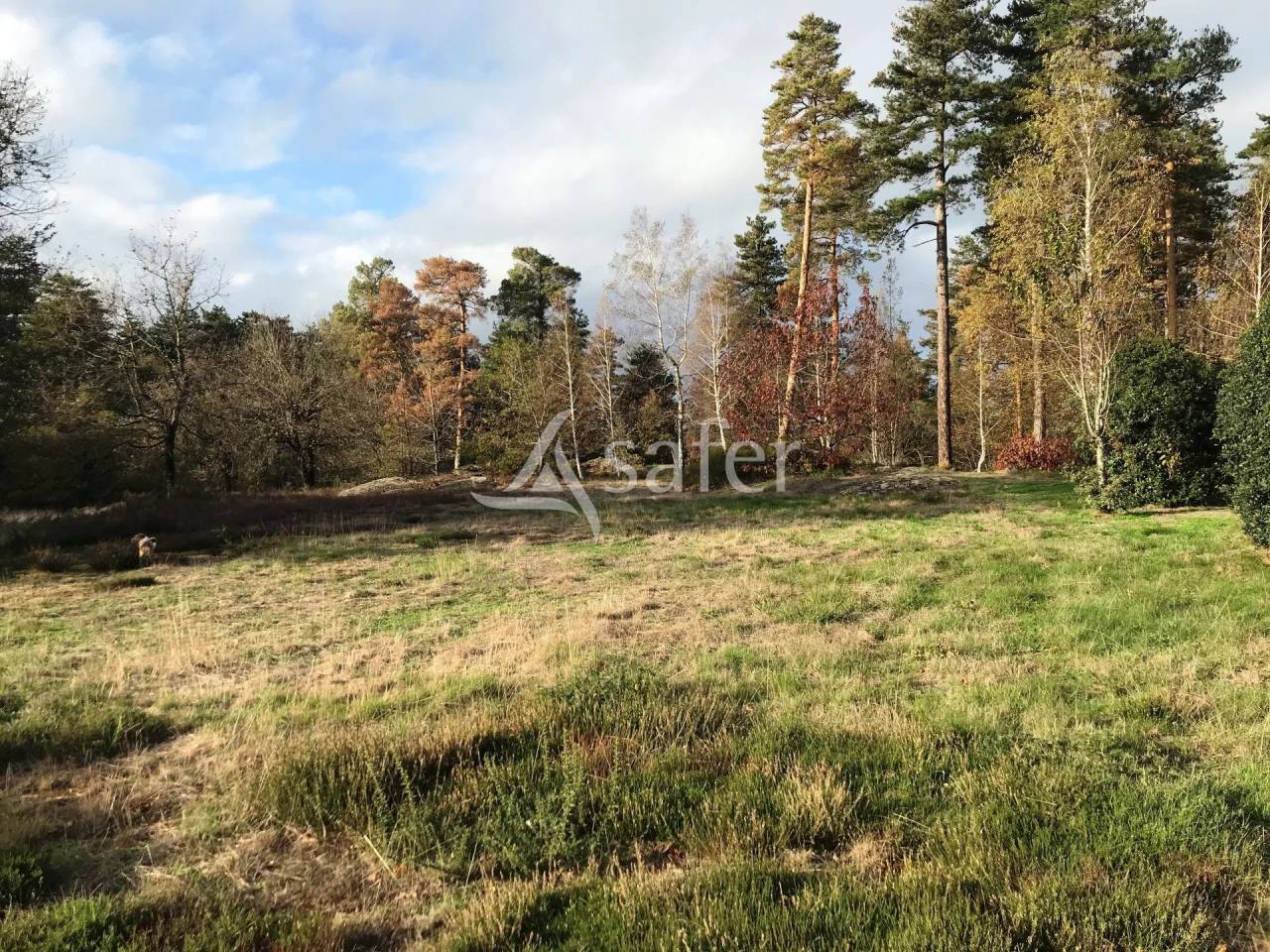 Propiedad rural En venta Tarn