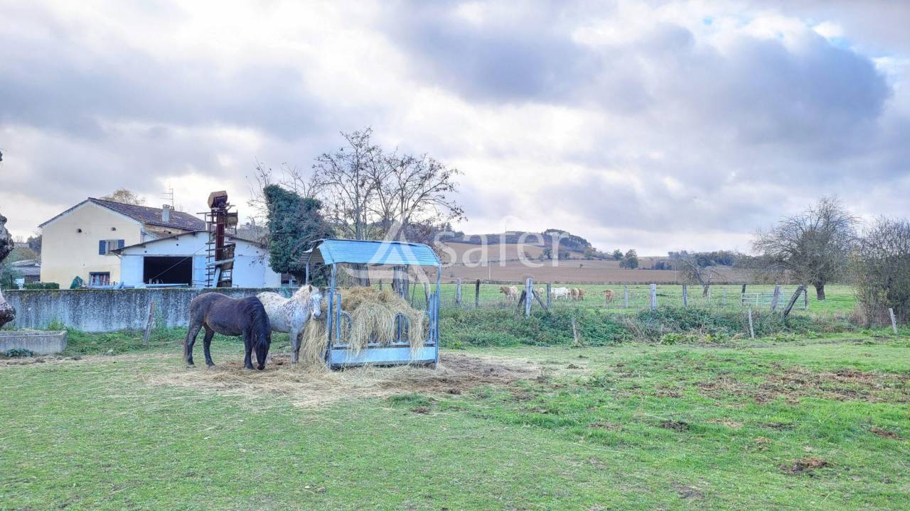 Propiedad rural En venta Tarn