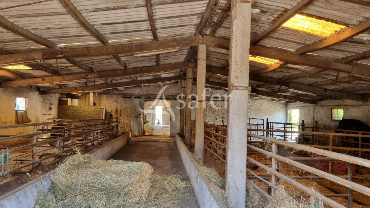 Propiedad rural En venta Tarn