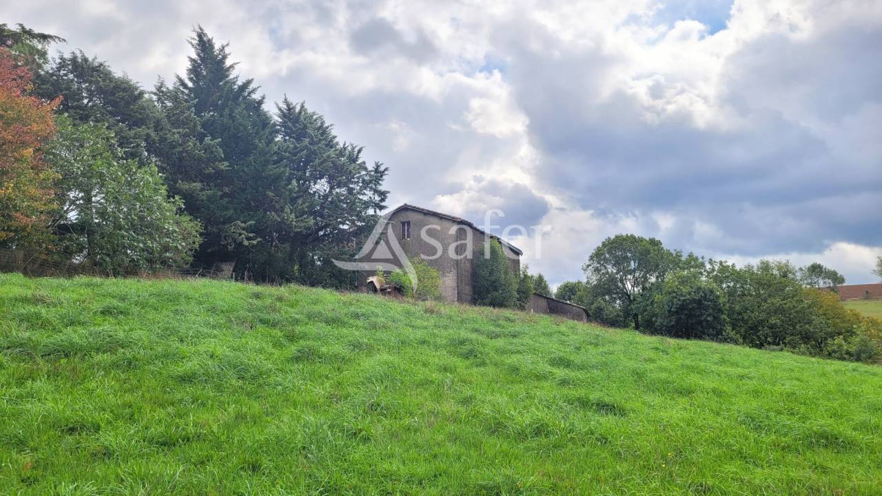 Propiedad rural En venta Tarn