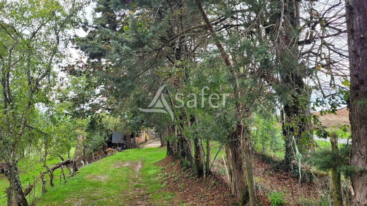 Propiedad rural En venta Tarn