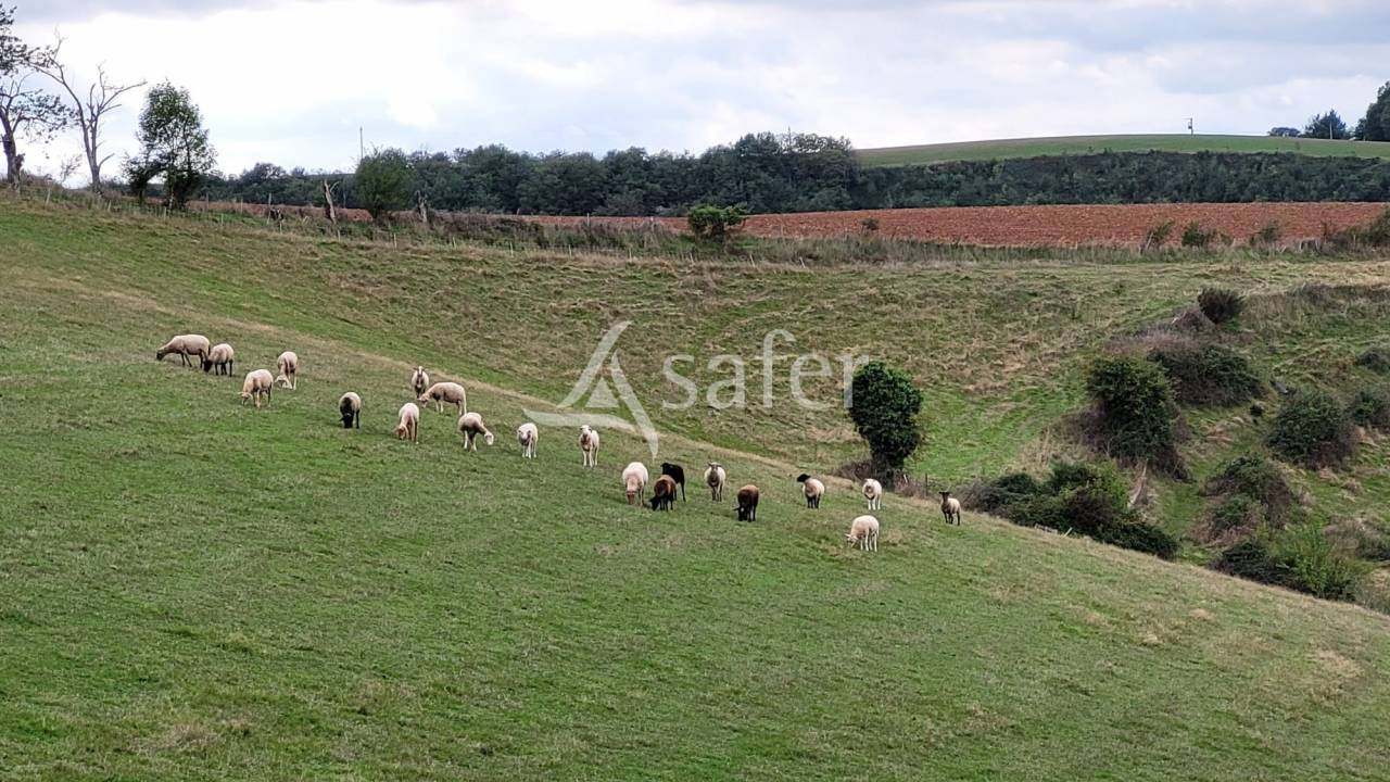 Propiedad rural En venta Tarn