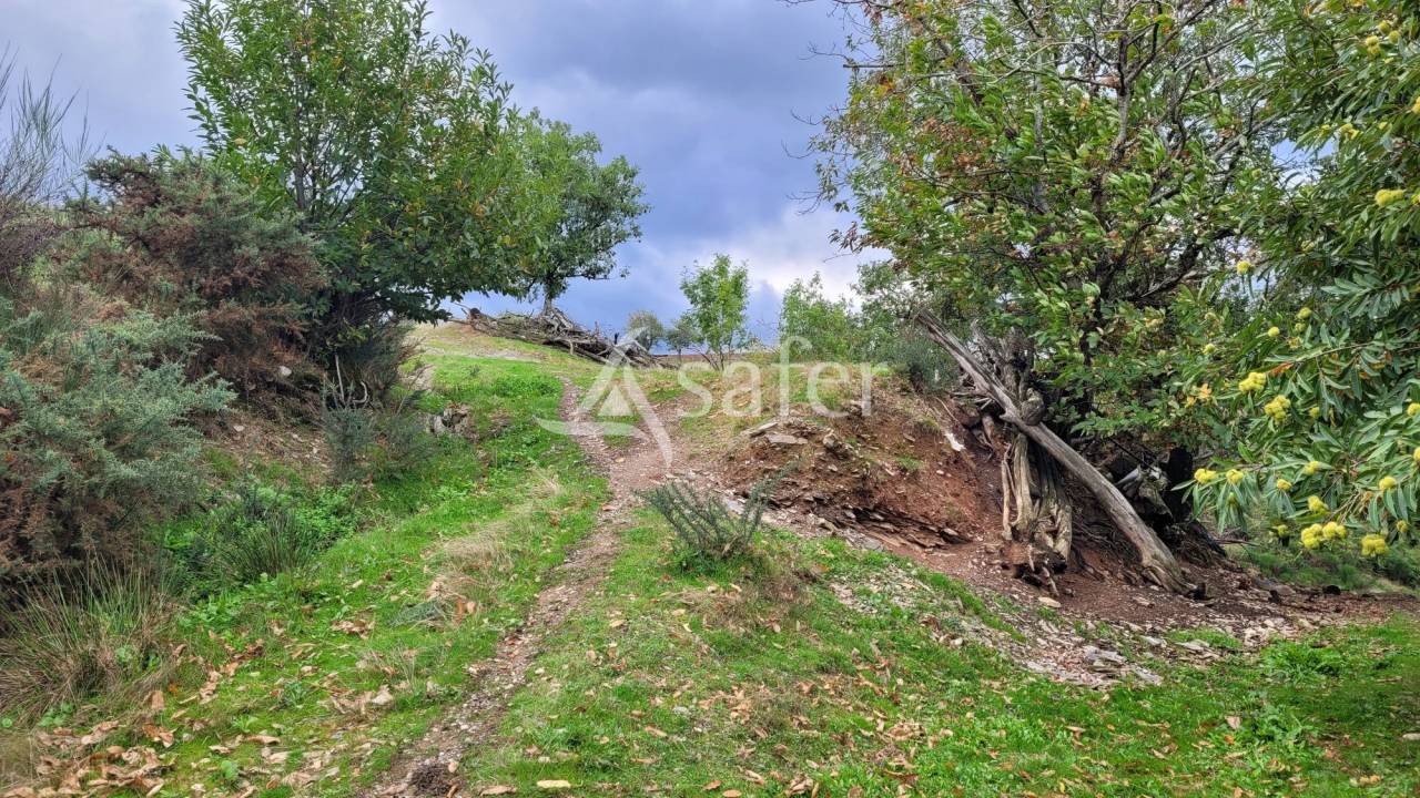 Propiedad rural En venta Tarn