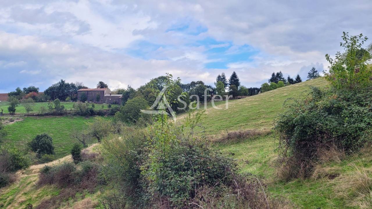 Propiedad rural En venta Tarn