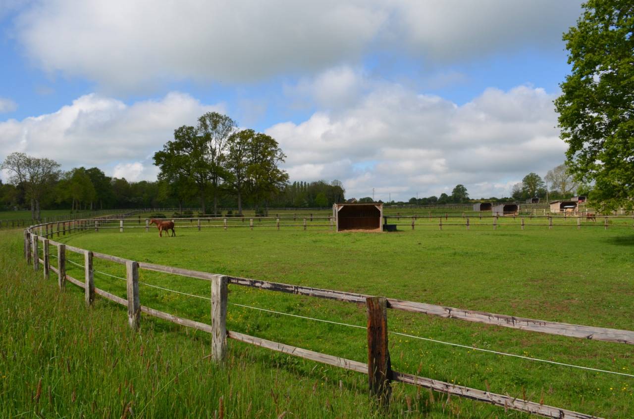 Acaballadero En venta Orne