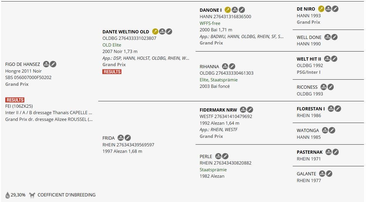 Caballo entero AES Anglo European Studbook En venta 2023 Bayo moreno por Da vinci