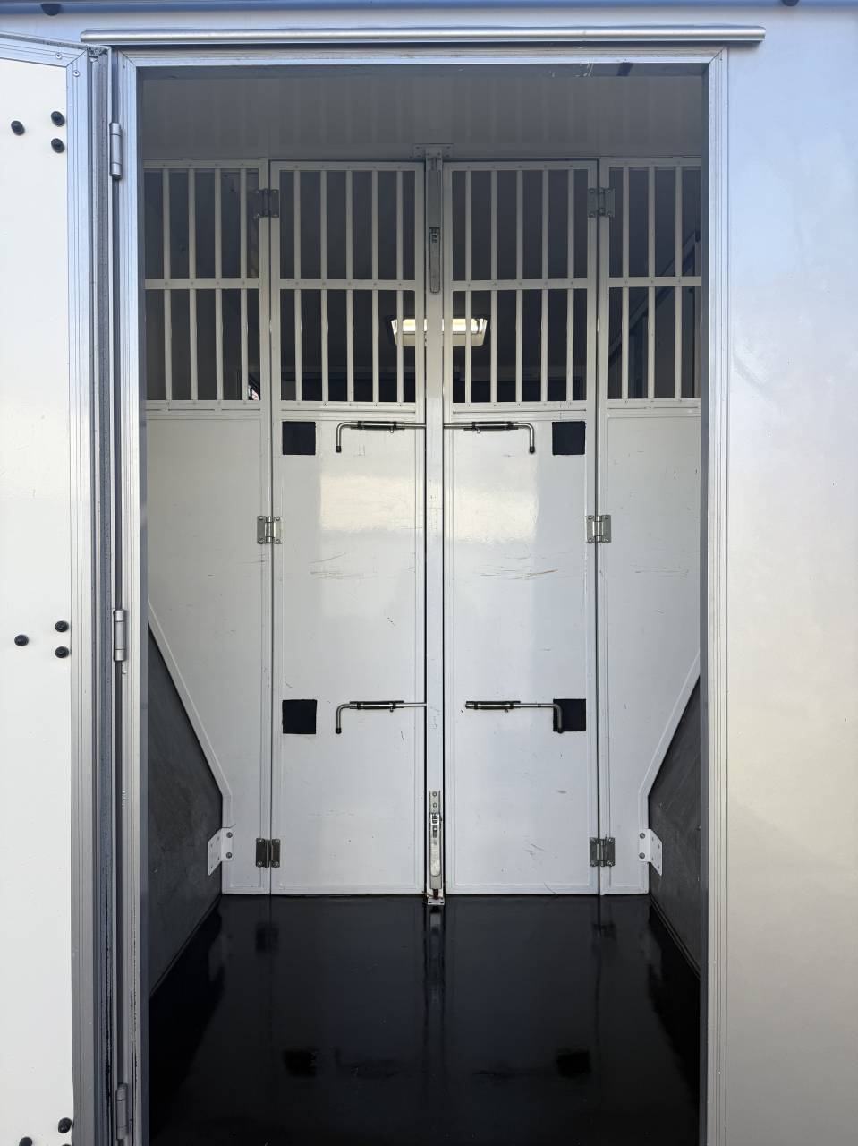 Furgoneta para caballos Renault LESLY HORSE 2018 De segunda mano