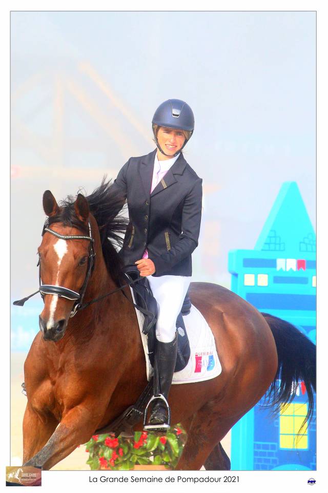 Caballo castrado Silla Francés En venta 2015 Bayo por Adzaro de l abbaye