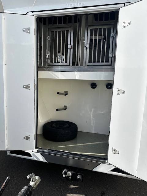 Furgoneta para caballos Renault  2020 De segunda mano