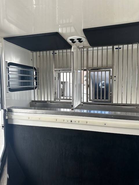 Furgoneta para caballos Renault  2020 De segunda mano