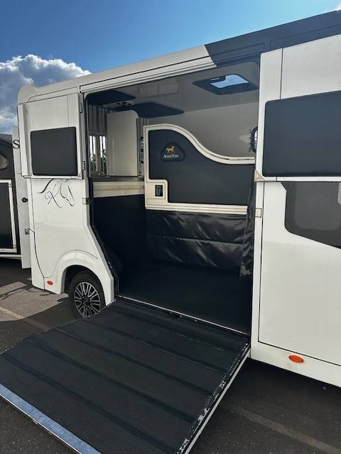 Furgoneta para caballos Renault  2020 De segunda mano