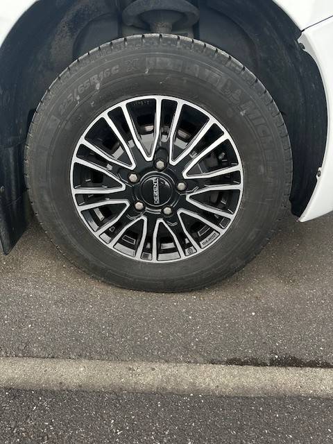 Furgoneta para caballos Renault  2020 De segunda mano