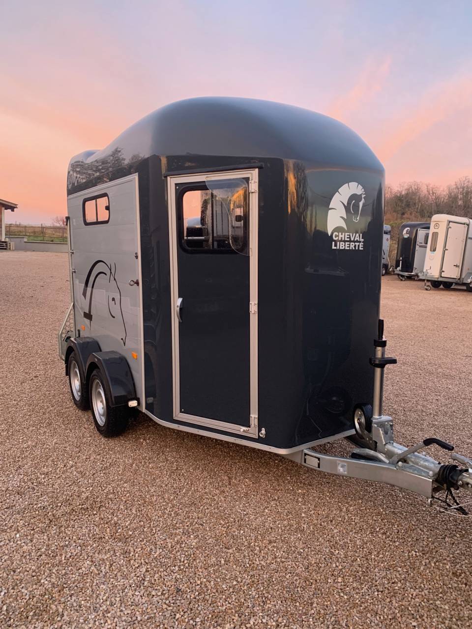 Van caballos Cheval Libert&eacute; GOLD 3 2 Caballos 2021 De segunda mano
