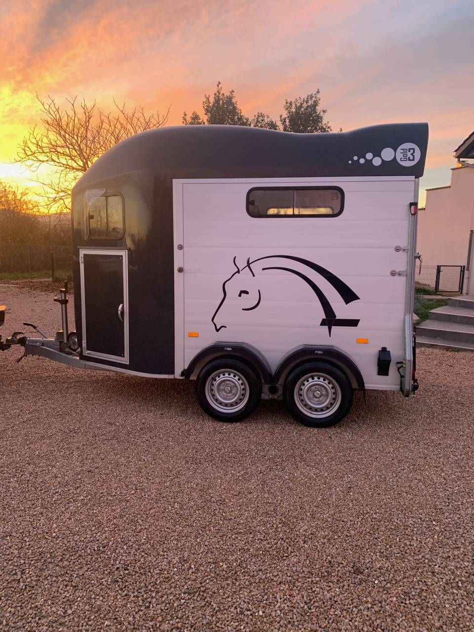 Van caballos Cheval Libert&eacute; GOLD 3 2 Caballos 2021 De segunda mano