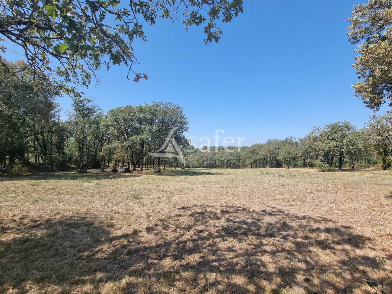 Explotaci&oacute;n agr&iacute;cola En venta Lot