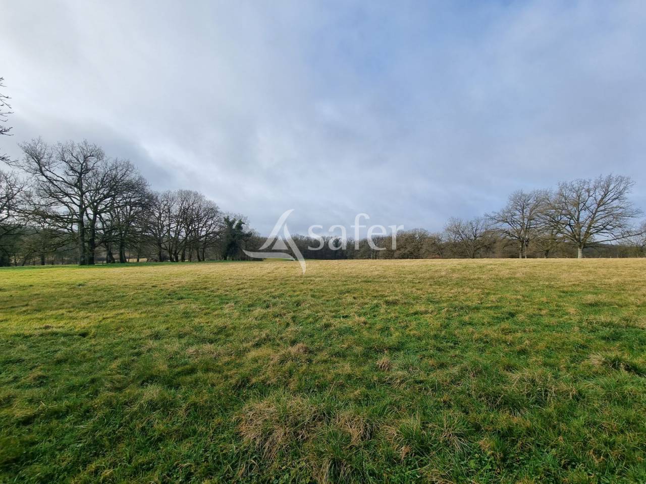 Explotaci&oacute;n ovina En venta Lot