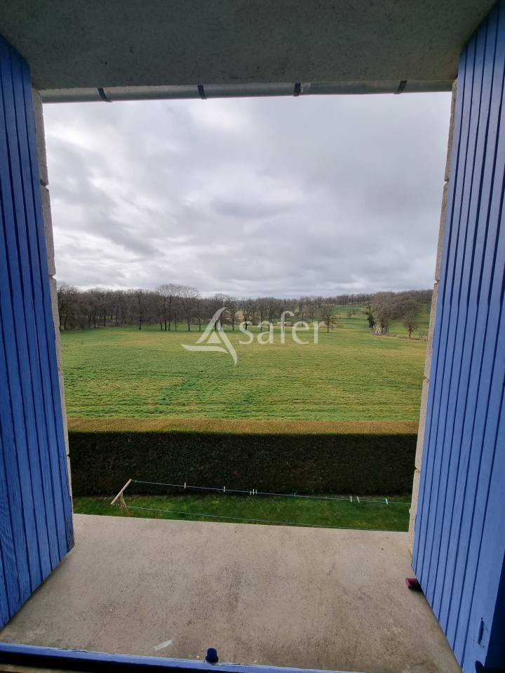 Explotaci&oacute;n ovina En venta Lot