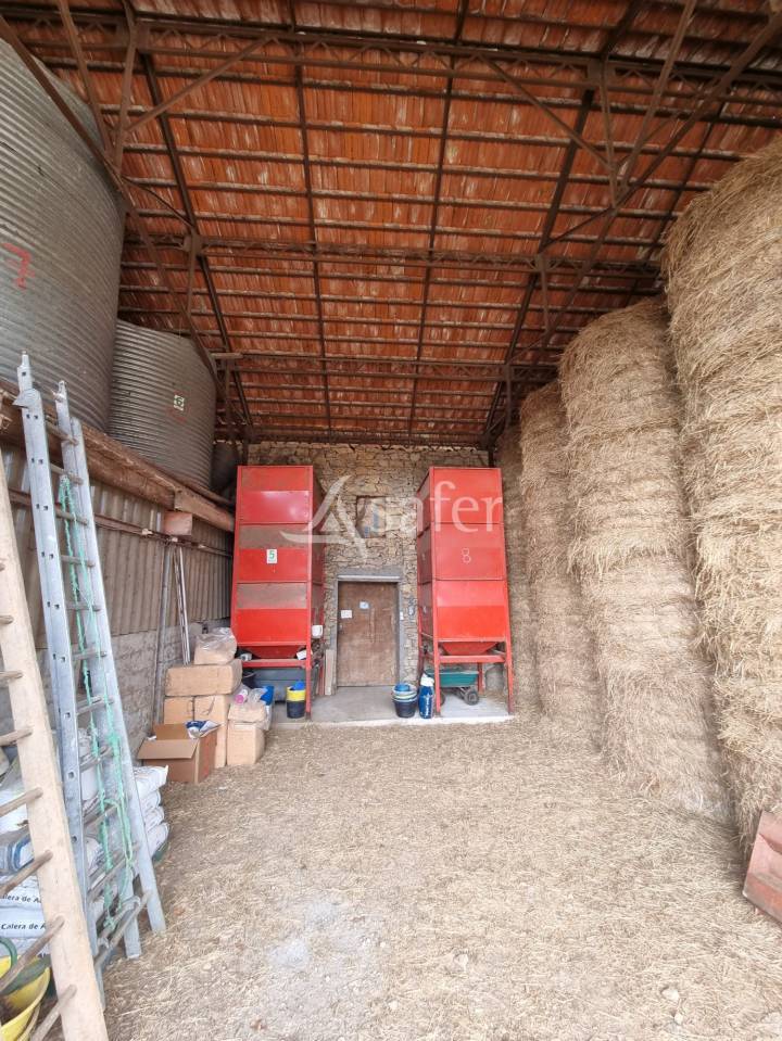 Explotaci&oacute;n ovina En venta Lot