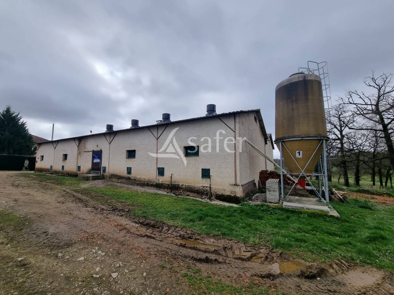 Explotaci&oacute;n ovina En venta Lot