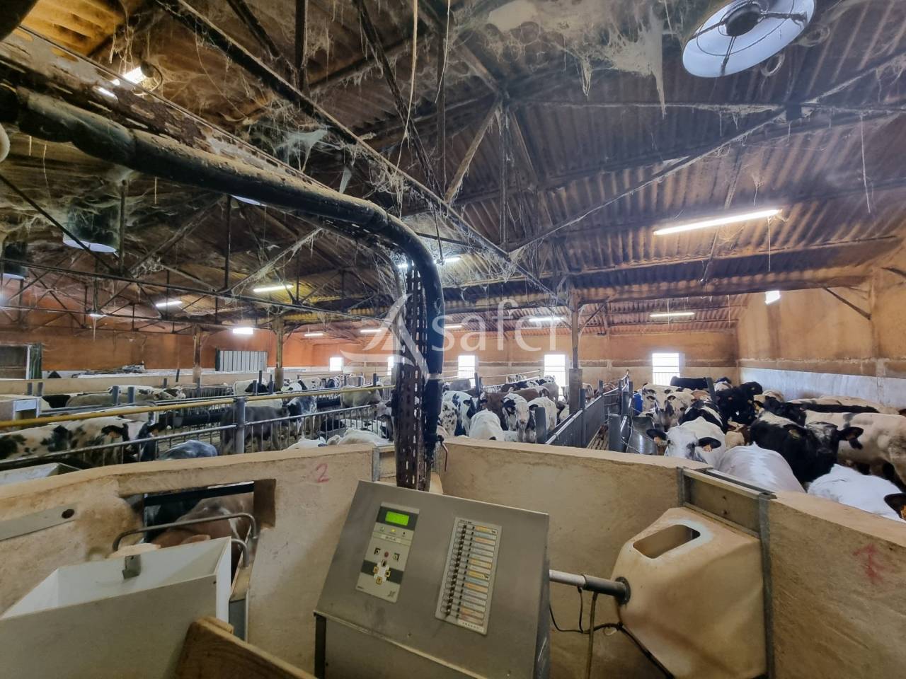 Explotaci&oacute;n ovina En venta Lot