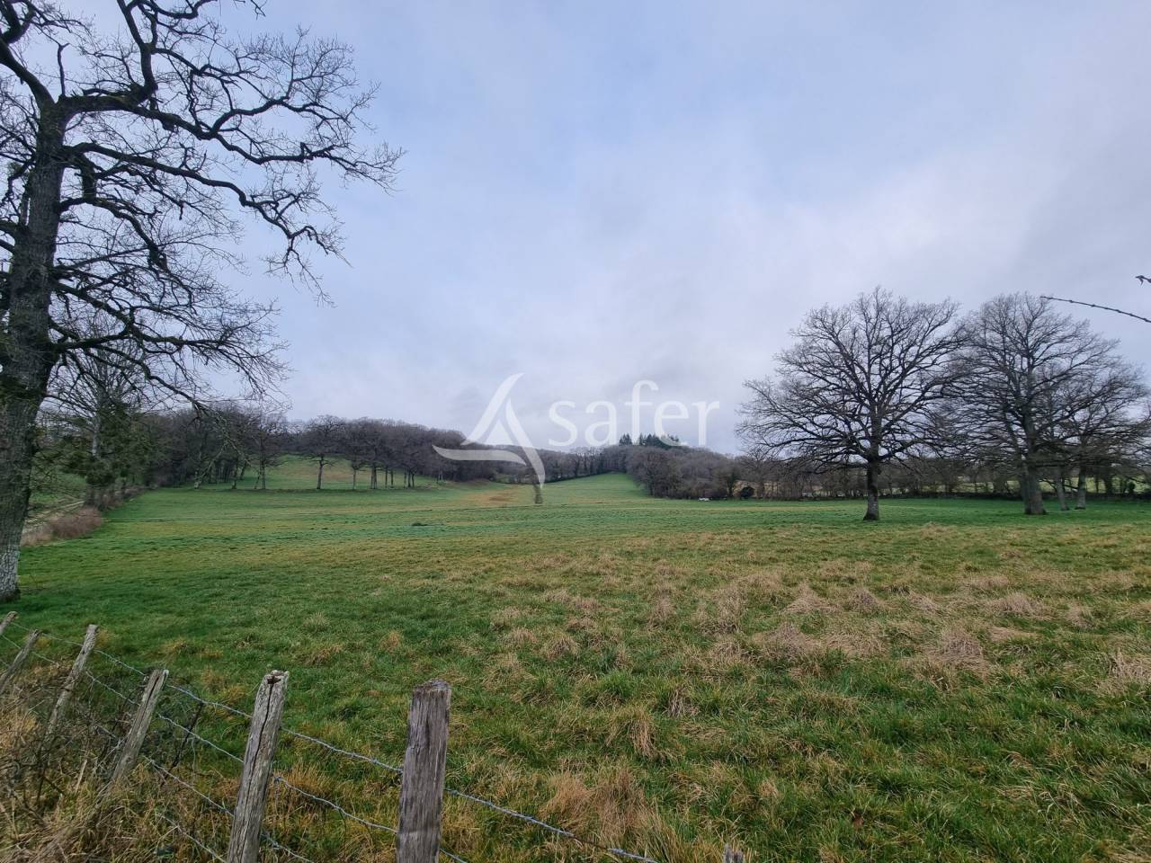 Explotaci&oacute;n ovina En venta Lot