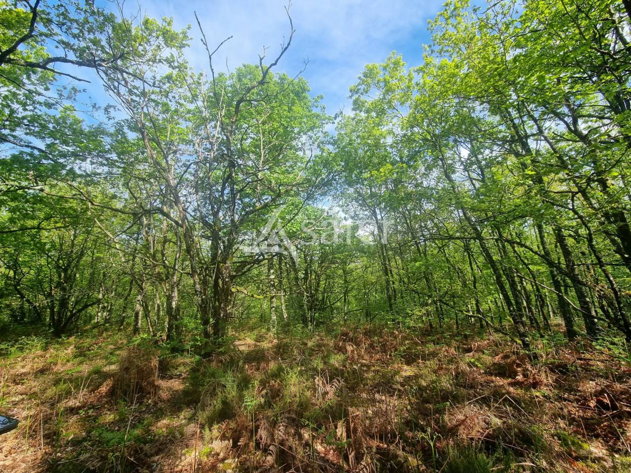 Explotaci&oacute;n ovina En venta Lot