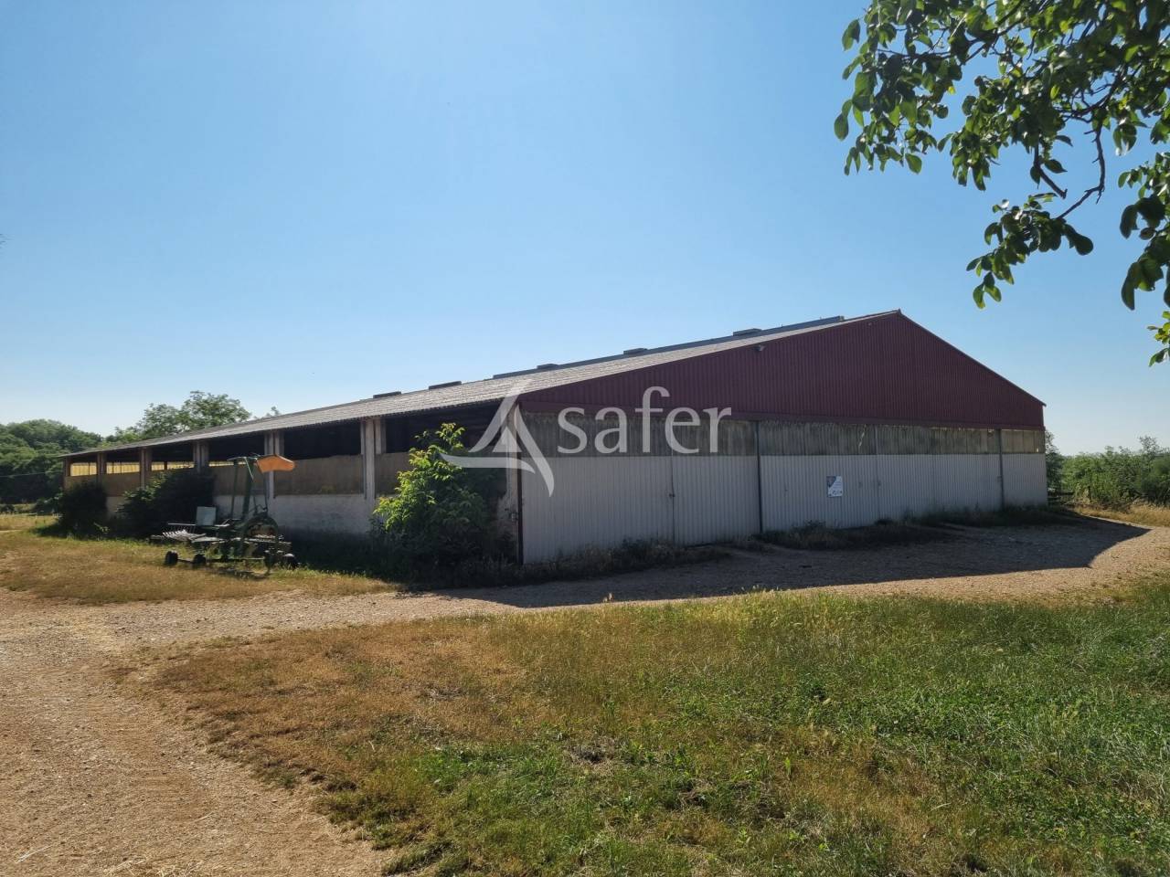 Explotaci&oacute;n ovina En venta Lot