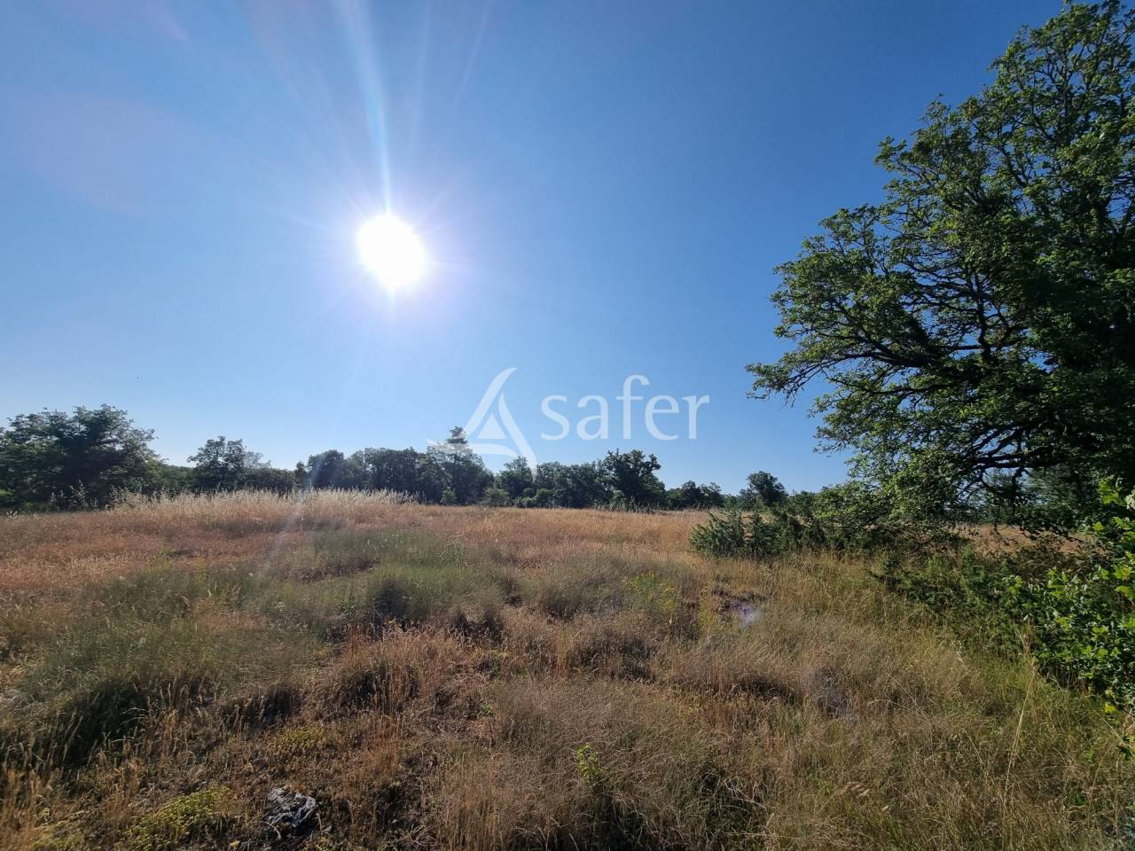 Explotaci&oacute;n ovina En venta Lot